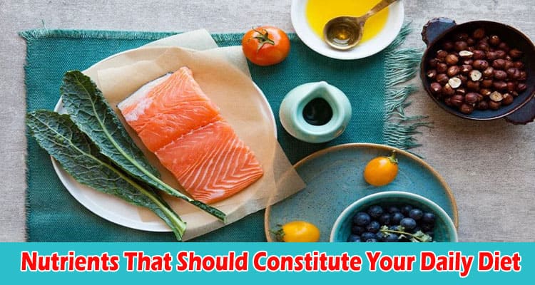 Complete Information Nutrients That Should Constitute Your Daily Diet