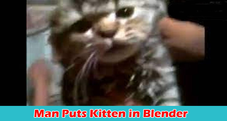Latest News Man Puts Kitten in Blender