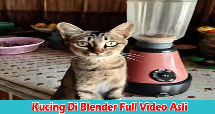 Latest News Kucing Di Blender Full Video Asli