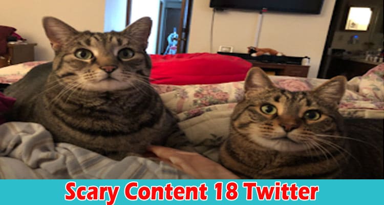 Latest News Scary Content 18 Twitter