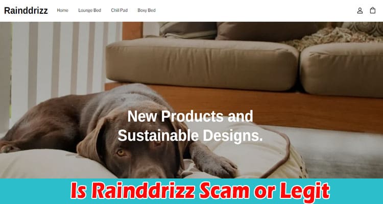 Rainddrizz Online Website Reviews
