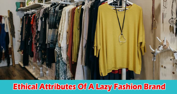 Complete Information Ethical Attributes Of A Lazy Fashion Brand