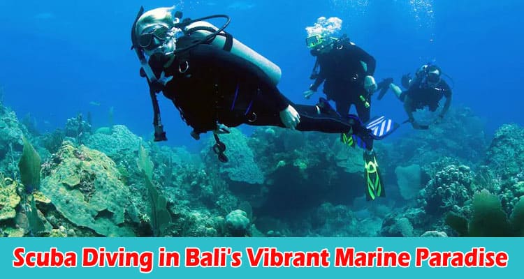Unveiling the Underwater Wonders Scuba Diving in Bali's Vibrant Marine Paradise