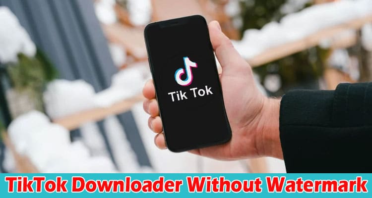 Complete Information About An Exceptional TikTok Downloader Without Watermark - PPPtik