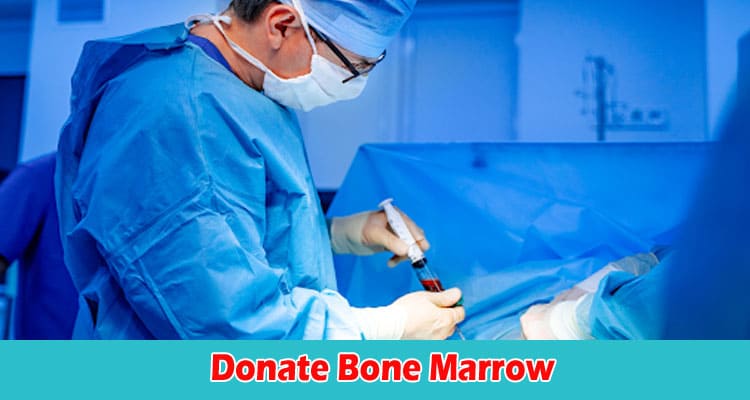 How Many Times Can You Donate Bone Marrow