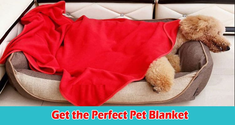 How to Get the Perfect Pet Blanket