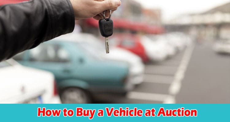 How to Buy a Vehicle at Auction Top 7 Tips