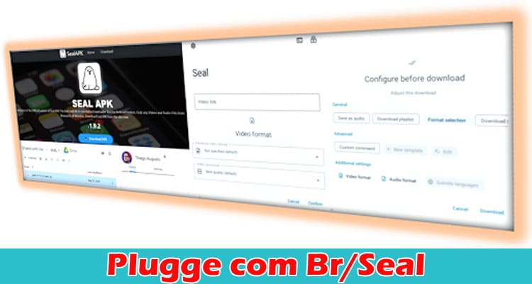 Latest News Plugge Com Brseal