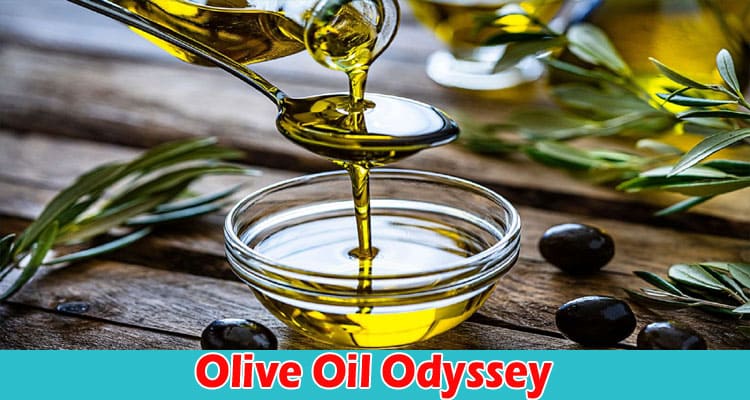Complete Information About Olive Oil Odyssey - From Nature’s Bounty to Culinary Masterpiece