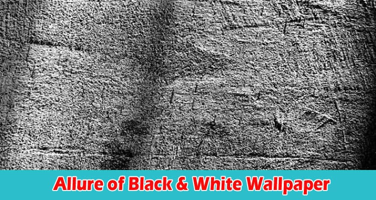 Discover the Allure of Black & White Wallpaper
