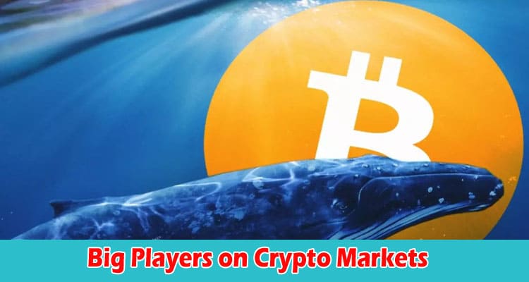 Unveiling the Impact of Big Players on Crypto Markets