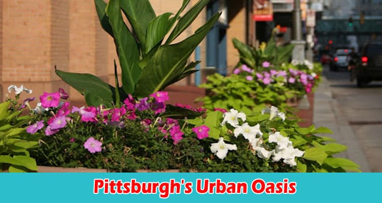Complete Guide to information Pittsburgh's Urban Oasis