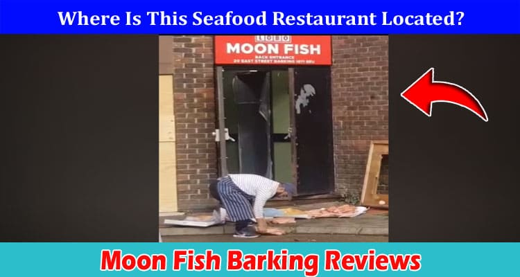 Latest News Moon Fish Barking Reviews