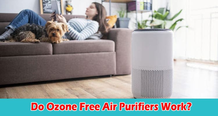 Complete Information Do Ozone Free Air Purifiers Work