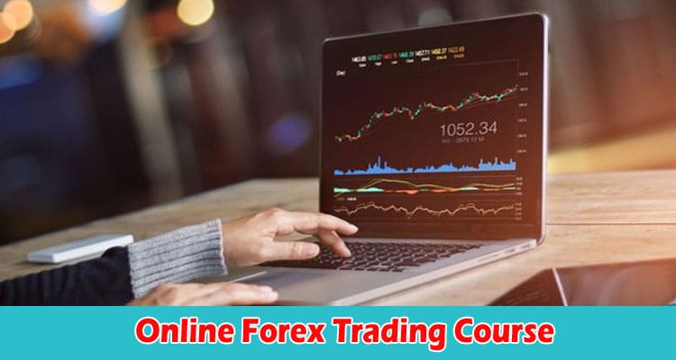 Complete Information Why Embark on an Online Forex Trading Course