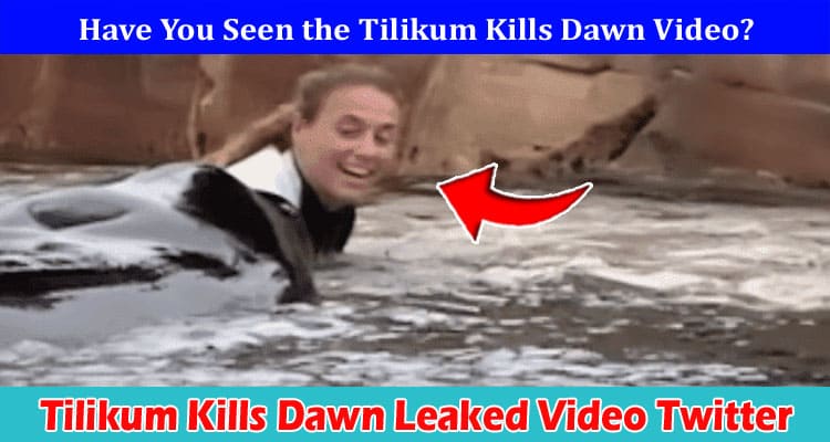 Tilikum Kills Dawn Leaked Video Twitter: Is It Available On Instagram, Youtube, Telegram