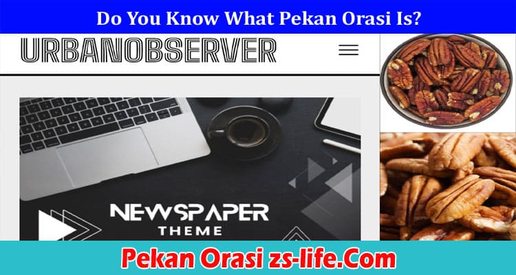 Pekan Orasi zs-life.Com Online Website Reviews