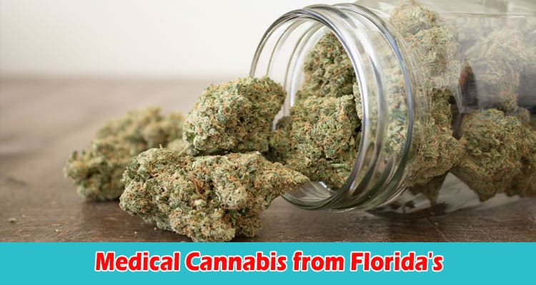 Crucial Factors to Assess When Buying Medical Cannabis from Florida's Digital Dispensaries