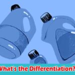 What's the Differentiation and which is great for Your Necessities