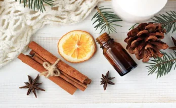 Good Essential Oil Blends Based on the Four Seasons